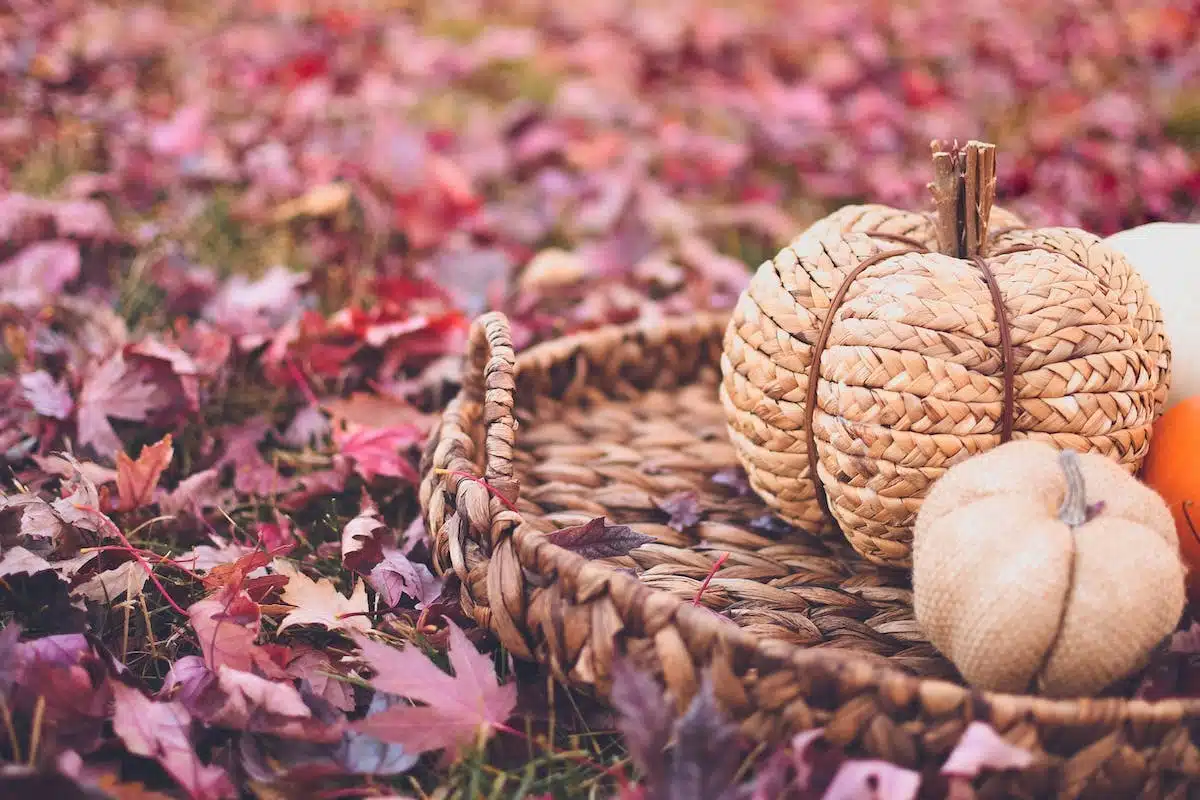 panier  automne