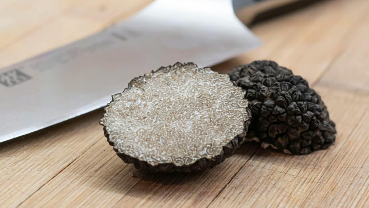 Comment sublimer vos plats avec de la truffe noire ?